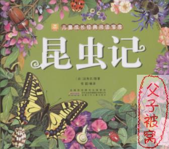 儿童有声读物：法布尔《昆虫记》中文版32部 mp3格式