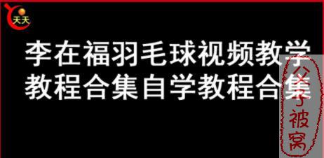 李在福羽毛球视频教程 33集全
