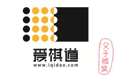 袁嘉华：爱棋道围棋冲段班32课时  mp4视频