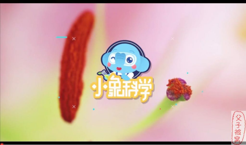 小象科学1-6年级同步科学课 mp4格式