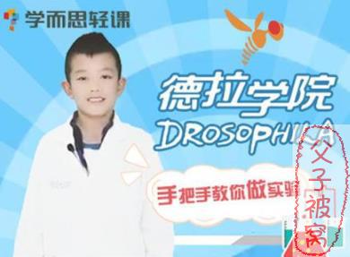 少儿趣味科普视频《德拉少儿科学实验室》(共42讲) mp4格式