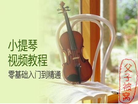 《初级小提琴教程》(全46集) 林朝阳 FLV视频