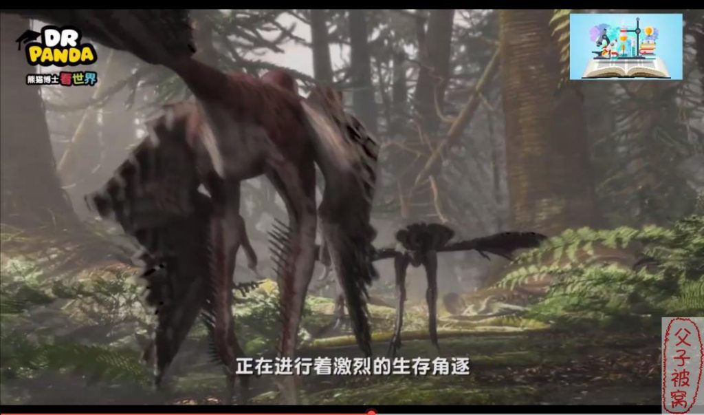 《熊猫博士看世界》第一季 共15大主题 mp4视频
