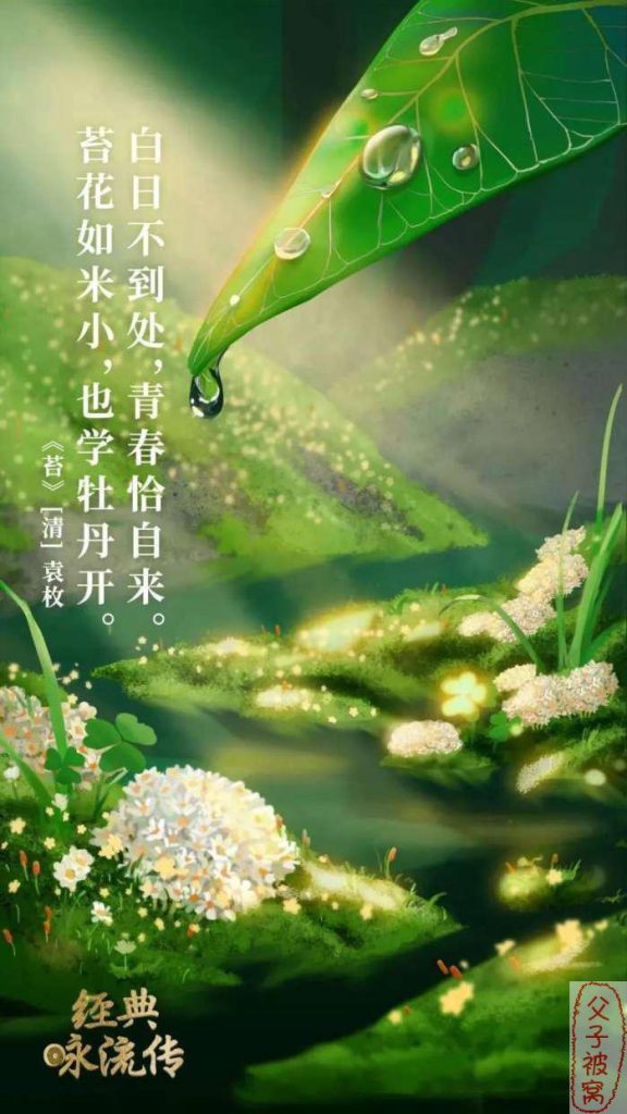 《央视经典咏流传》55首经典诗词咏唱 MP3音频