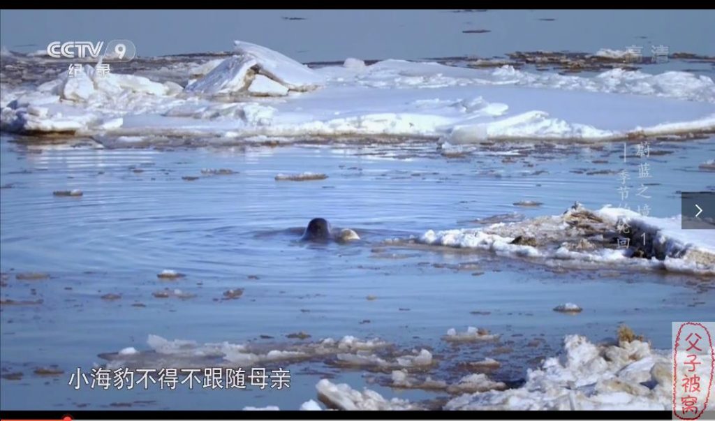 《蔚蓝之境》(全6集) 1080高清 MKV格式