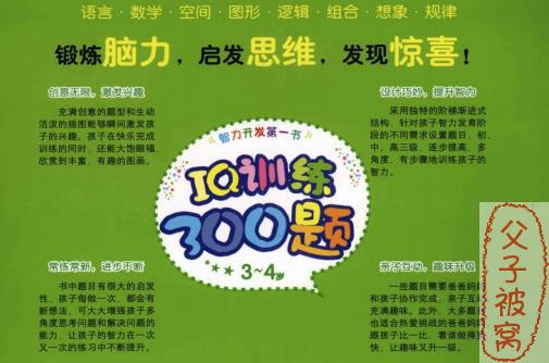 思维训练《IQ训练300题》(共3册)PDF电子书