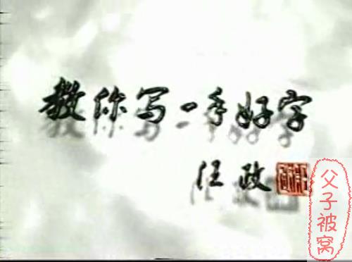 《教你写一手好字》教学视频 共30讲  钱沛云