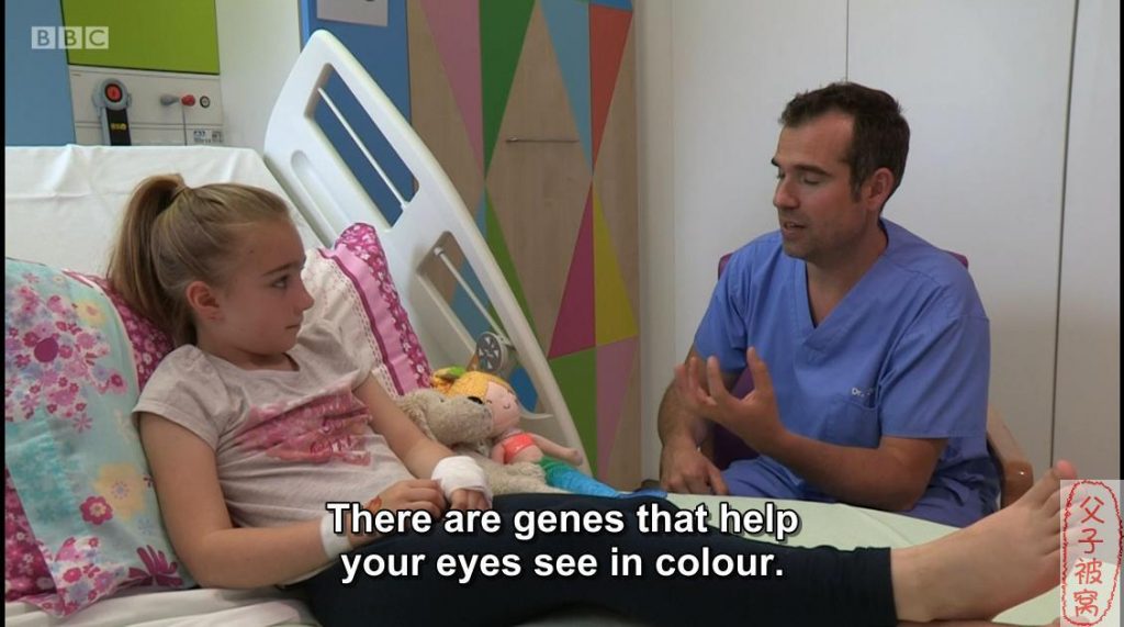 BBC人体医学科普节目 《Operation Ouch》 第7季 英文字幕