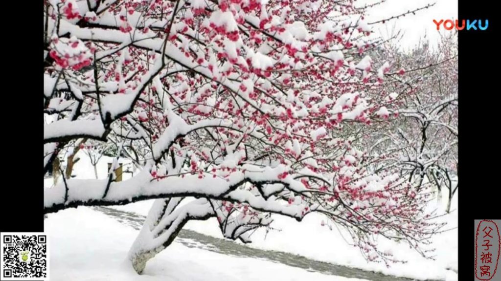 《爱豆国画课:如诗如画》 共48个视频  一首古诗一首国画