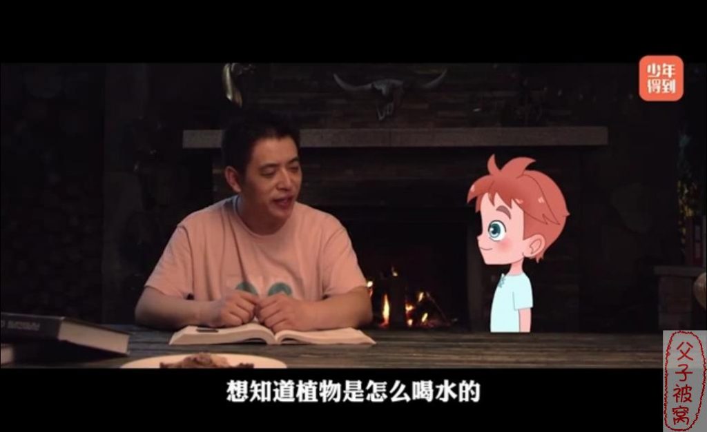 少年得到《奇妙动画实验课》动画视频 共20集