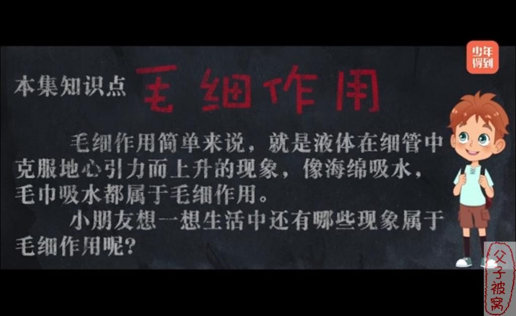 少年得到《奇妙动画实验课》动画视频 共20集