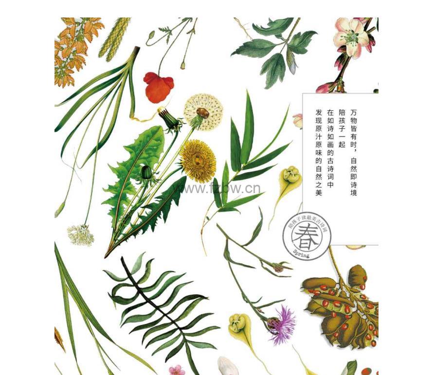 《陪孩子读最美古诗词》套装4册 PDF+azw3+mobi+epub格式