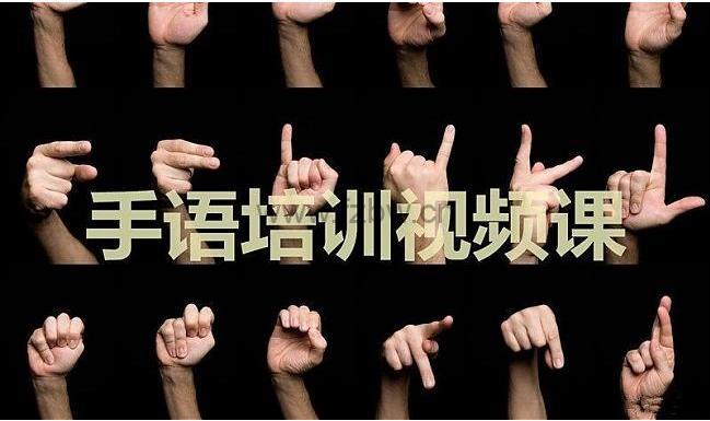《中国手语培训教程》共44讲 视频课程 国家通用标准规范手语