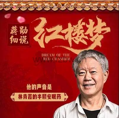 《蒋勋细说红楼梦》有声书 wma格式