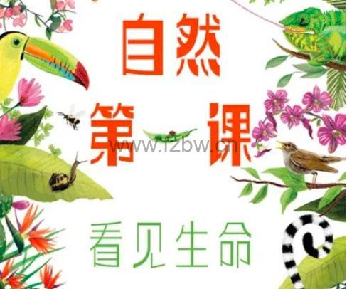 芝麻学社《第一堂自然课》共12集 MP4视频
