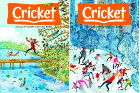 cricket 儿童文学杂志 2022年合集 全9本