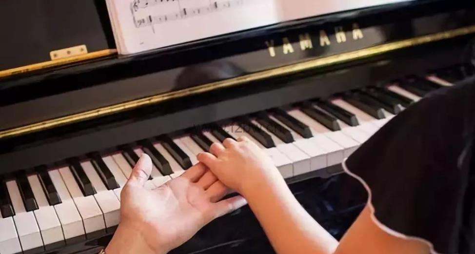 《鑫然学琴，不可错过的钢琴技巧大师课》 共29集 视频课程