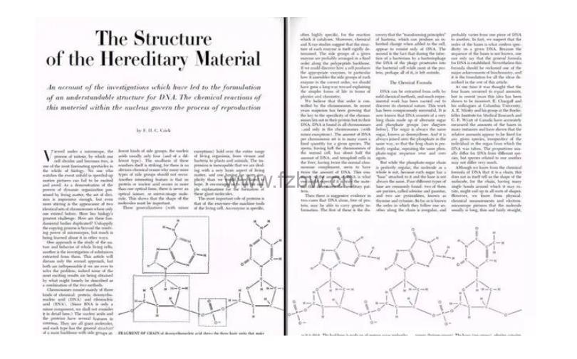世界顶级科普杂志《Scientific American科学美国人》2023全年刊 PDF格式