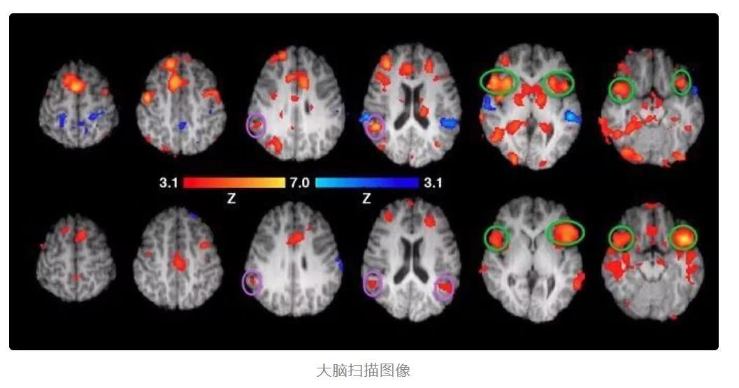 洪兰博士《破除育儿谣言》共35节 音频课程