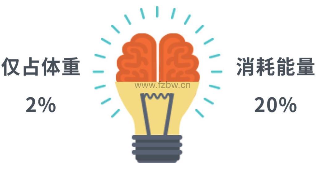 洪兰博士《破除育儿谣言》共35节 音频课程