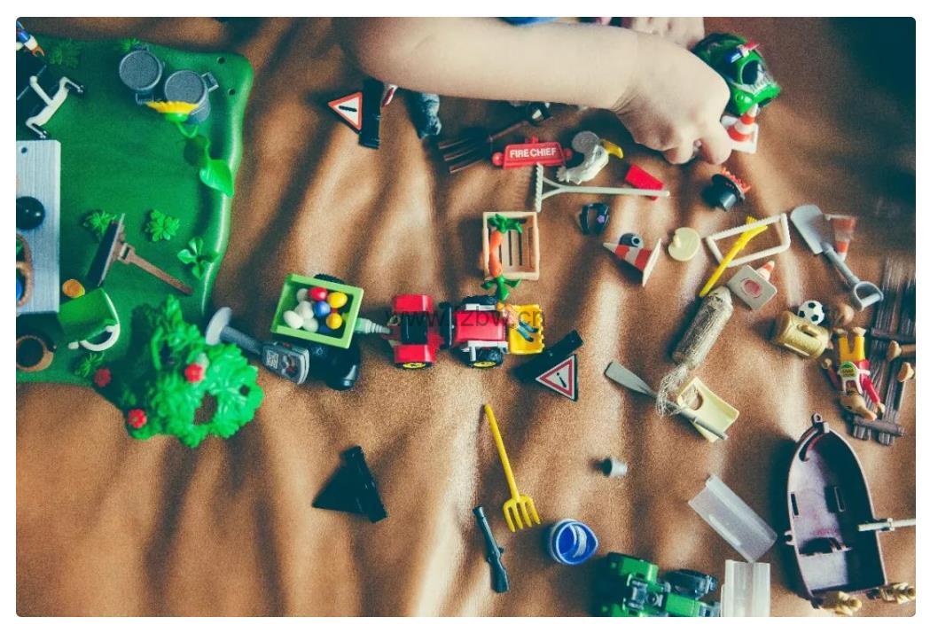 洪兰博士《破除育儿谣言》共35节 音频课程