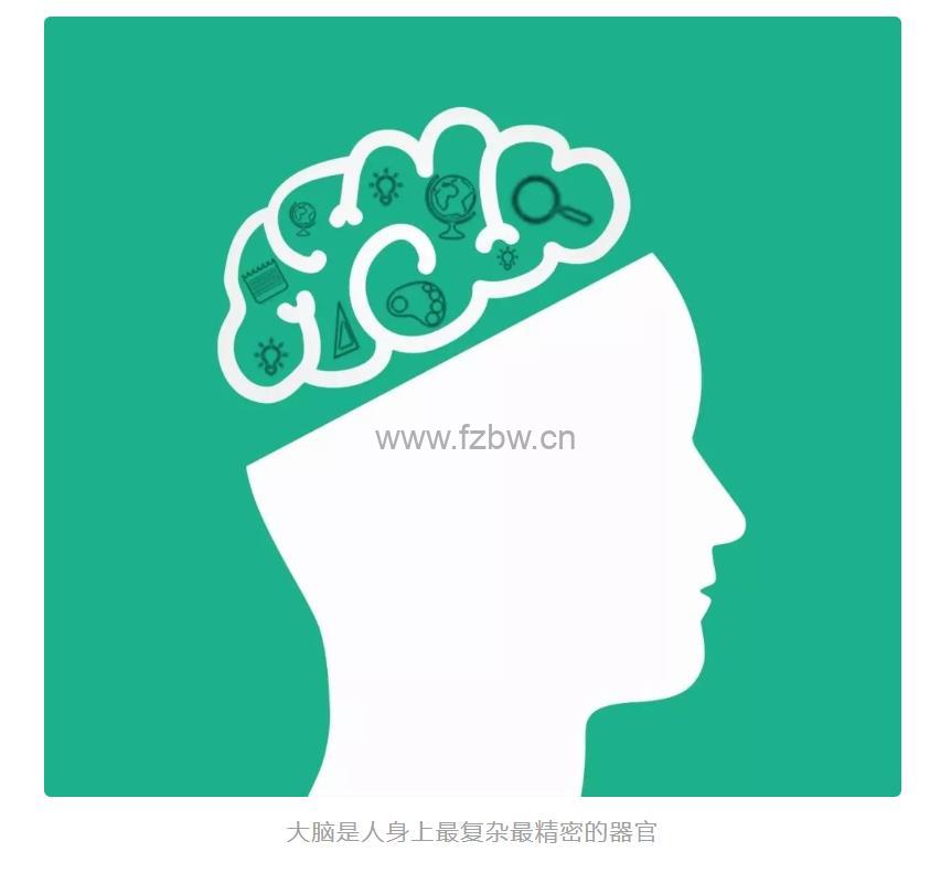 洪兰博士《破除育儿谣言》共35节 音频课程