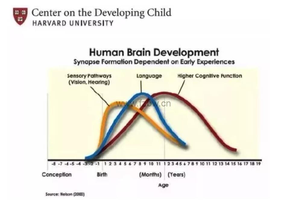 周爷爷《给未来学霸的30堂趣味计算课》视频课程