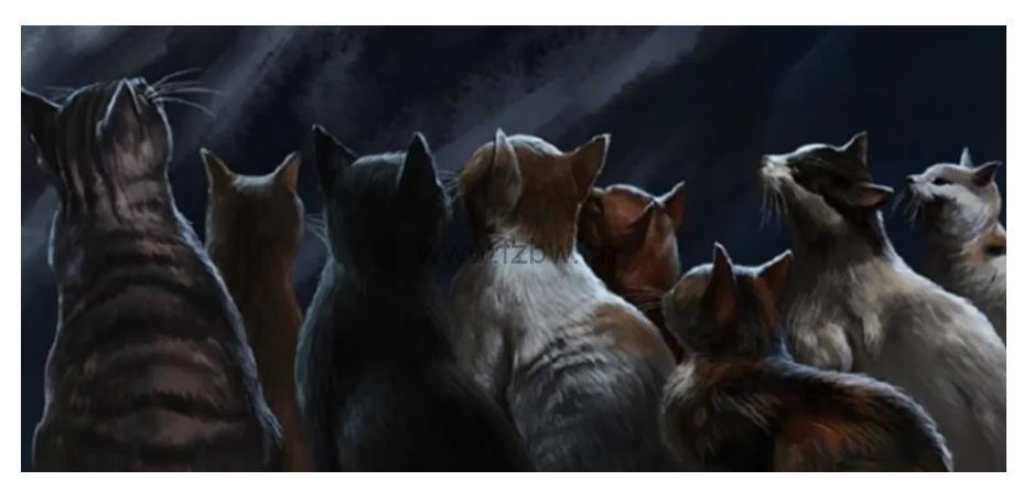 《Warriors 猫武士》1-8季及及外传、荒野手册等 PDF+音频