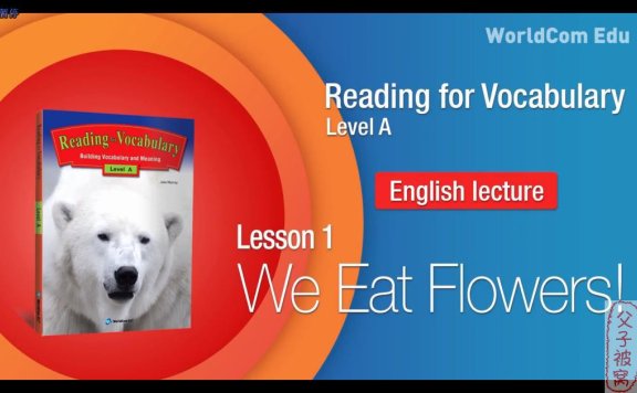 Brain Stuart教学视频:小学系统词汇课