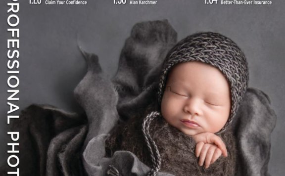 《专业摄影师艺术杂志》2021年度全集 PDF格式