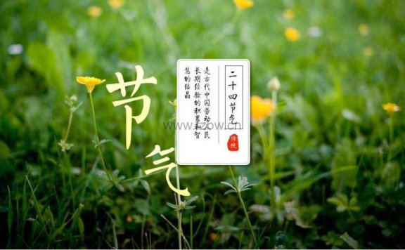 二十四节气超高清图片