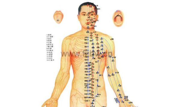 超高清人体穴位图 大尺寸可打印