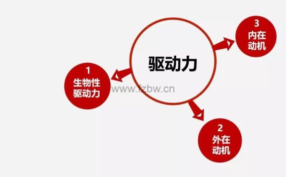 杨杰《如何培养孩子的内在动力》共二十讲 MP3音频