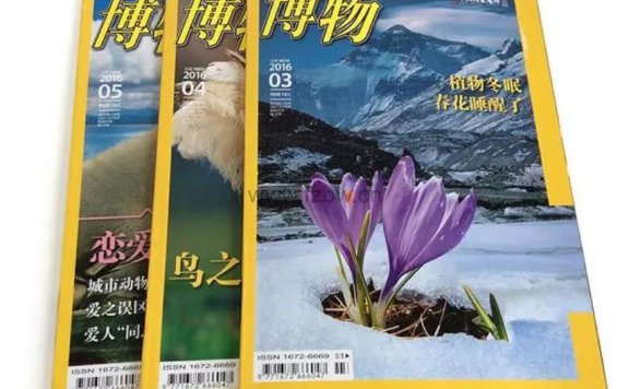 《博物》杂志 2016-2023 PDF格式