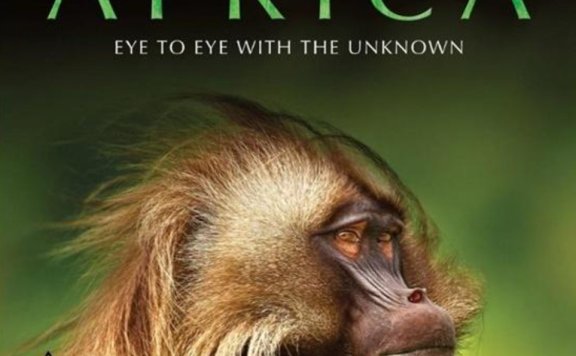 儿童纪录片推荐《非洲》