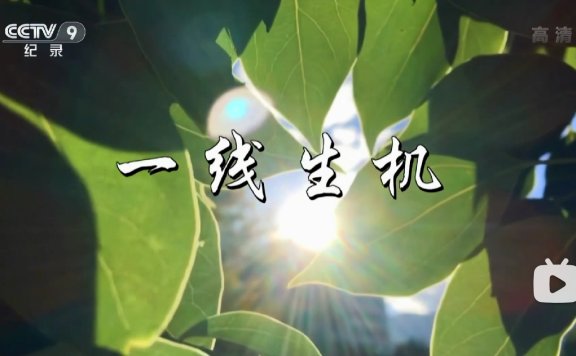 纪录片《微观世界》1-5全