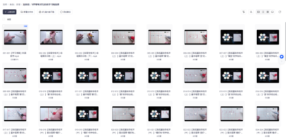 刘染然:VIP硬笔书写系统学习精品课