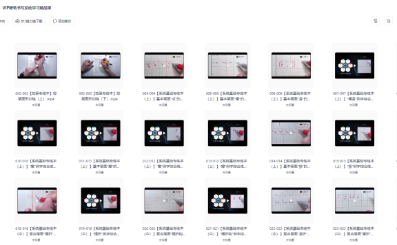 刘染然：VIP硬笔书写系统学习精品课